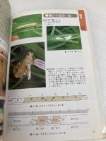 減農薬のための田の虫図鑑: 害虫・益虫・ただの虫 農山漁村文化協会 宇根 豊