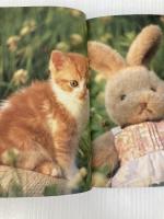 子猫のき・も・ち (1) ブライト出版 的場 章