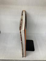 Alphonse Mucha: Masterworks Flame Tree Illustrated Ormiston, Rosalind