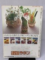 かわいい籘手芸 (ヴォーグカラーシリーズ) 日本ヴォーグ社 谷川 榮子