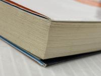 昇龍の剣-八州廻り浪人奉行（４） (双葉文庫) 双葉社 稲葉 稔