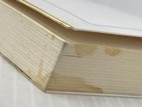 森と山と川でたどるドイツ史 (岩波ジュニア新書) 岩波書店 池上 俊一