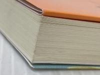 移民の宴 日本に移り住んだ外国人の不思議な食生活 (講談社文庫 た 116-5) 講談社 高野 秀行