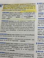 【※書き込み有り】Dictionnaire du Francais Cle International