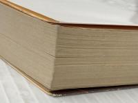 小説政界三国志〈第5巻〉第1次“一龍戦争” (広済堂文庫) (廣済堂文庫 お 5-6) 廣済堂出版 大下 英治