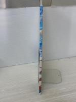 転生王女と天才令嬢の魔法革命 総作画監督修正集／原画集 アズメーカー