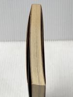 地図の風景 (中部編 2) 愛知・岐阜 (そしえて文庫) そしえて 堀 淳一