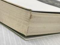 南海ホ-クスがあったころ: 野球ファンとパ・リ-グの文化史 紀伊國屋書店 永井 良和