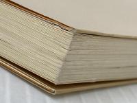 新こんな先輩を見習うな: 固めたい仕事の基本 日本能率協会マネジメントセンター 畠山 芳雄