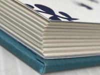 ※カバー無し クラゲの不思議: 全身が脳になる? 謎の浮遊生命体 誠文堂新光社 三宅 裕志