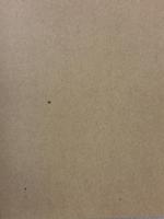 John Cage: Zen Ox-Herding Pictures George Braziller Addiss, Stephen