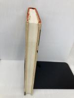 鬼と蝿叩き: 松沢堂の冒険 翔泳社 松沢 呉一