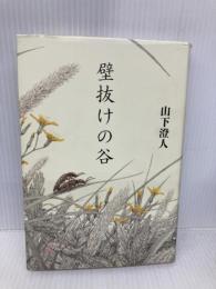 壁抜けの谷 中央公論新社 山下 澄人