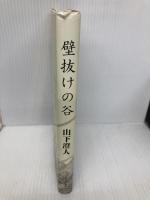 壁抜けの谷 中央公論新社 山下 澄人