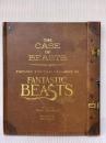 The Case of Beasts: Explore the Film Wizardry of Fantastic Beasts and Where to Find Them