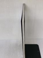 マッシヴ・アクション・フィギュア (ワープ・マガジン・ジャパン　1月号別冊)