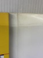 世界の建築家-思想と作品: 現代建築の交差流 彰国社 淵上 正幸