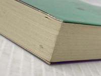 倒錯の死角: 201号室の女 (講談社文庫 お 63-10) 講談社 折原 一