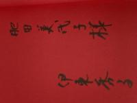 政治は、いまドラマティック: インサイドレポート村山政権誕生 社会思想社 伊東 秀子