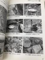 さあ化石をさがしにいこう!: 全国化石観察ガイド 遊タイム出版 自然環境研究オフィス