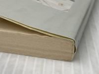 伊勢物語 (対訳古典シリーズ) 旺文社 中野 幸一