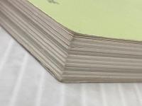 斎藤真一の世界: さすらいの画家 (岡山文庫 199) 日本文教出版岡山 斎藤裕重