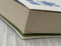 マリと子犬の物語 ~山古志村 小さな命のサバイバル~ (ジュニア文庫) 小学館 時海 結以