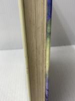 小説ドラゴンクエスト6: 幻の大地 (1) スクウェア・エニックス 久美 沙織