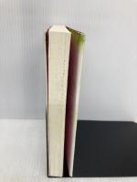 時間のない領域へ ナチュラルスピリット マイケル・J・ローズ