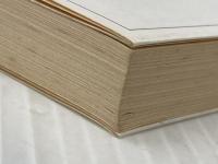 世紀末鯨鯢記 (河出文庫 ひ 1-2 BUNGEI Collection) 河出書房新社 久間 十義