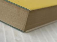 快男児・怪男児 下 (講談社文庫 え 1-12) 講談社 遠藤 周作