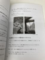 繊細さんのアヤワスカ体験記 Independently published 弥生 正広