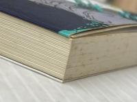 世界は密室でできている。 (講談社ノベルス マG- 3) 講談社 舞城 王太郎