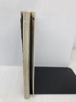 ディノクライシス公式ガイドブック カプコン スタジオベントスタッフ