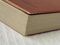 天空挙勝負録 中巻 (角川文庫 緑 257-26) KADOKAWA 藤原 審爾