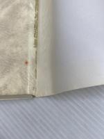 中国語関連語辞典: 新しい方式の常用単語集 光生館 香坂 順一