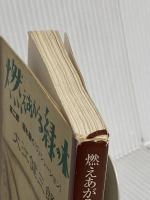 燃えあがる緑の木〈第2部〉揺れ動く(ヴァシレーション) (新潮文庫) 新潮社 健三郎, 大江