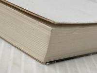 衆愚の果て (幻冬舎文庫) 幻冬舎 高嶋 哲夫