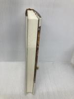 大ぼら吹きの城 KADOKAWA 矢野 隆