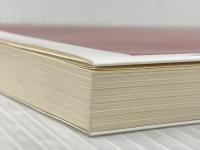 ウンコノミクス (インターナショナル新書) 集英社インターナショナル 山口 亮子