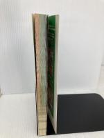 ルーンファクトリー -新牧場物語- ザ・コンプリートガイド メディアワークス デンゲキニンテンドーDS編集部