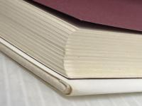 グローバリゼーション: 人間への影響 法政大学出版局 ジグムント バウマン