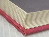 ルドルフ ともだち ひとりだち (児童文学創作シリーズ) 講談社 斉藤 洋