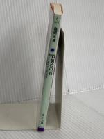 33個めの石 傷ついた現代のための哲学 (角川文庫) KADOKAWA 森岡 正博