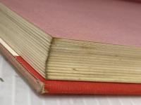 椰子より高く正義をかかげよ: ホセ・マルティの思想と生涯 海風書房 エルミニオ アルメンドロス