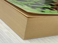 HOWL S MOVING CASTLE NEW ED PB VCCUIOB