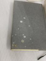 オアシスにスティービー・ワンダーが聞こえる 長征社 藤井 浩