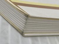 よみがえる黄金のジパング (岩波科学ライブラリー 5) 岩波書店 井澤 英二