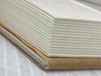 イーグルに訊け 飛鳥新社 天外 伺朗