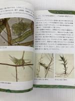 コケのふしぎ なぜコンクリートの隙間や塀に生えるの?原始的な陸上植物といわれるワケは? (サイエンス・アイ新書) SBクリエイティブ 樋口 正信